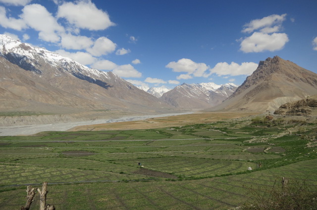 Return to the Spiti valley and fields