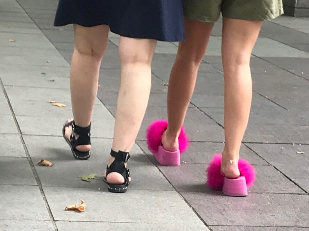On a lighter note we spotted these pink ‘shoes’ 2 days running!