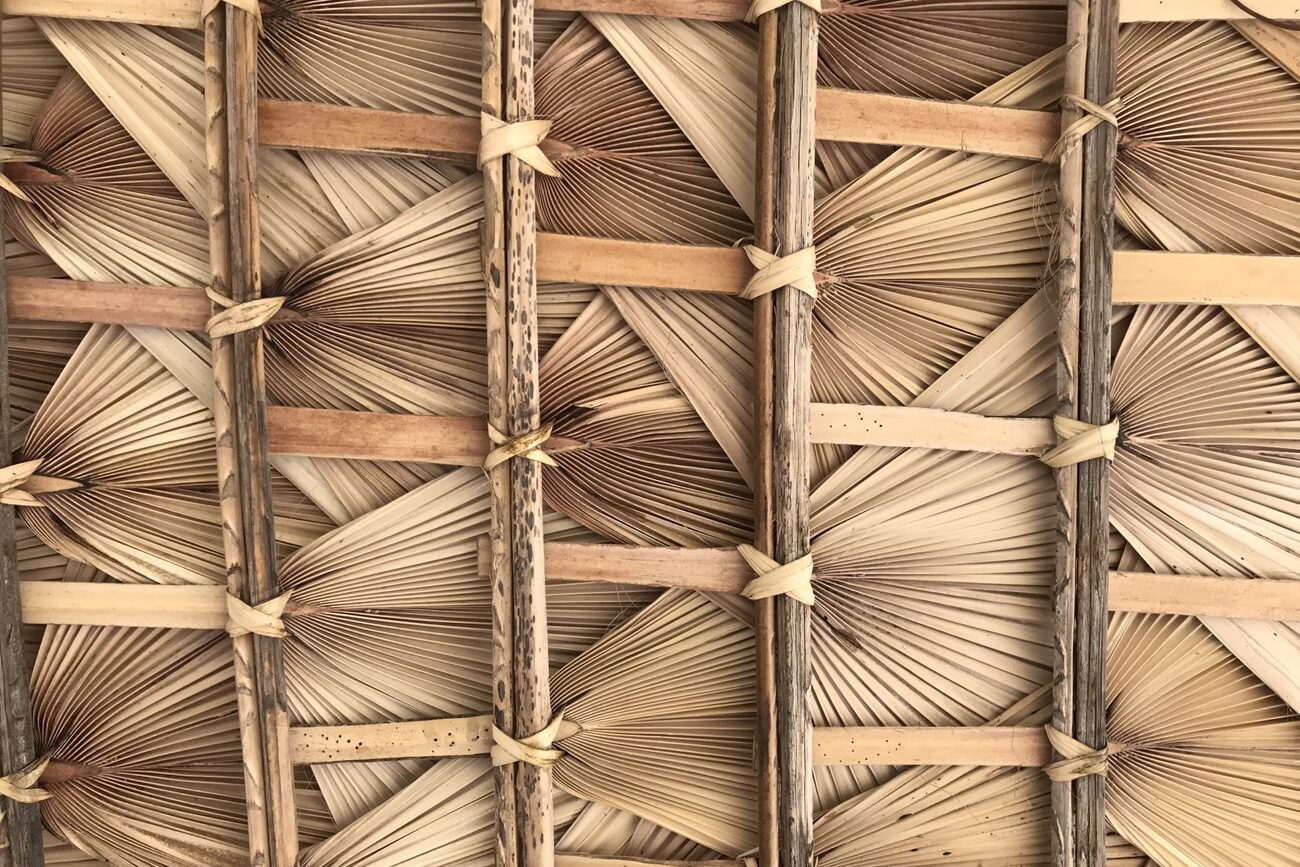 Sitting in a small fish taco stall I look up at the neatly crafted thatching of the roof