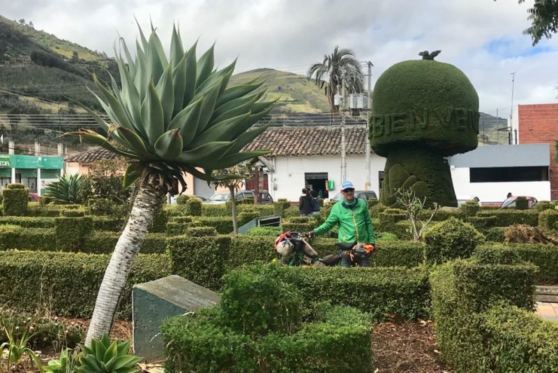 The topiary is not to the standard of Tulcan but still clever