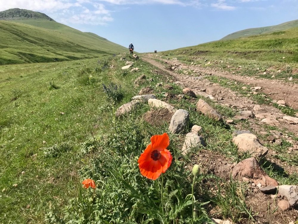 At the closest point we were only about 15km from the Turkish border – poppies were common roadside along with many other wild flowers