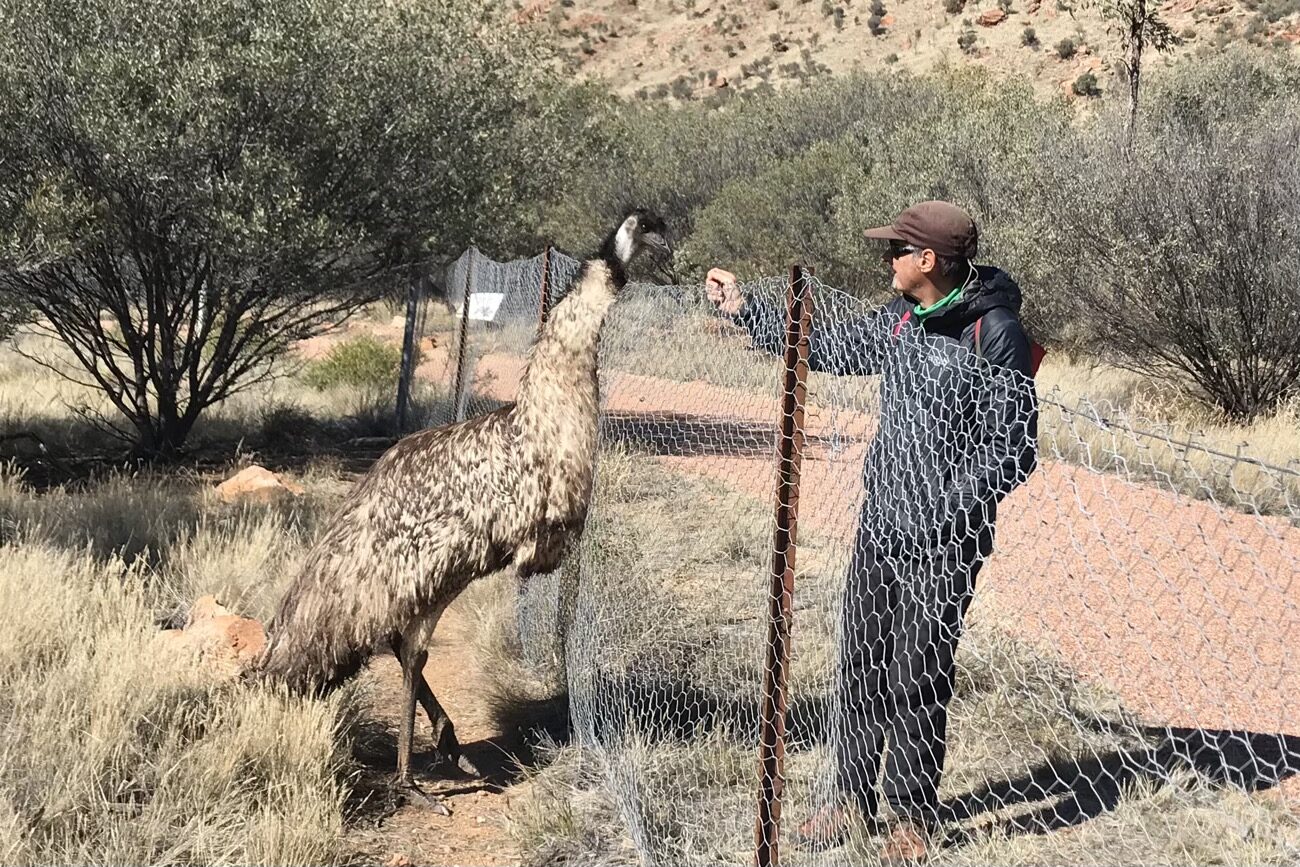 The very friendly male emu was all over Alan