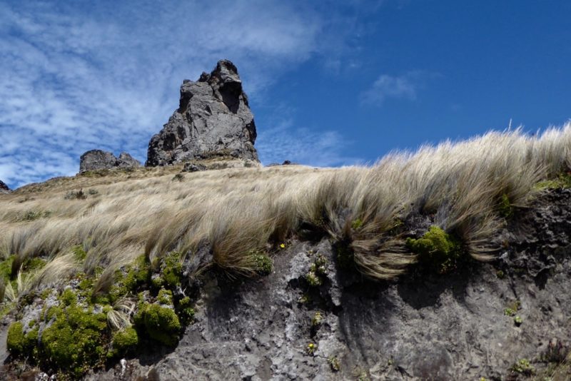 The cool rock and blowing tussock above the pass