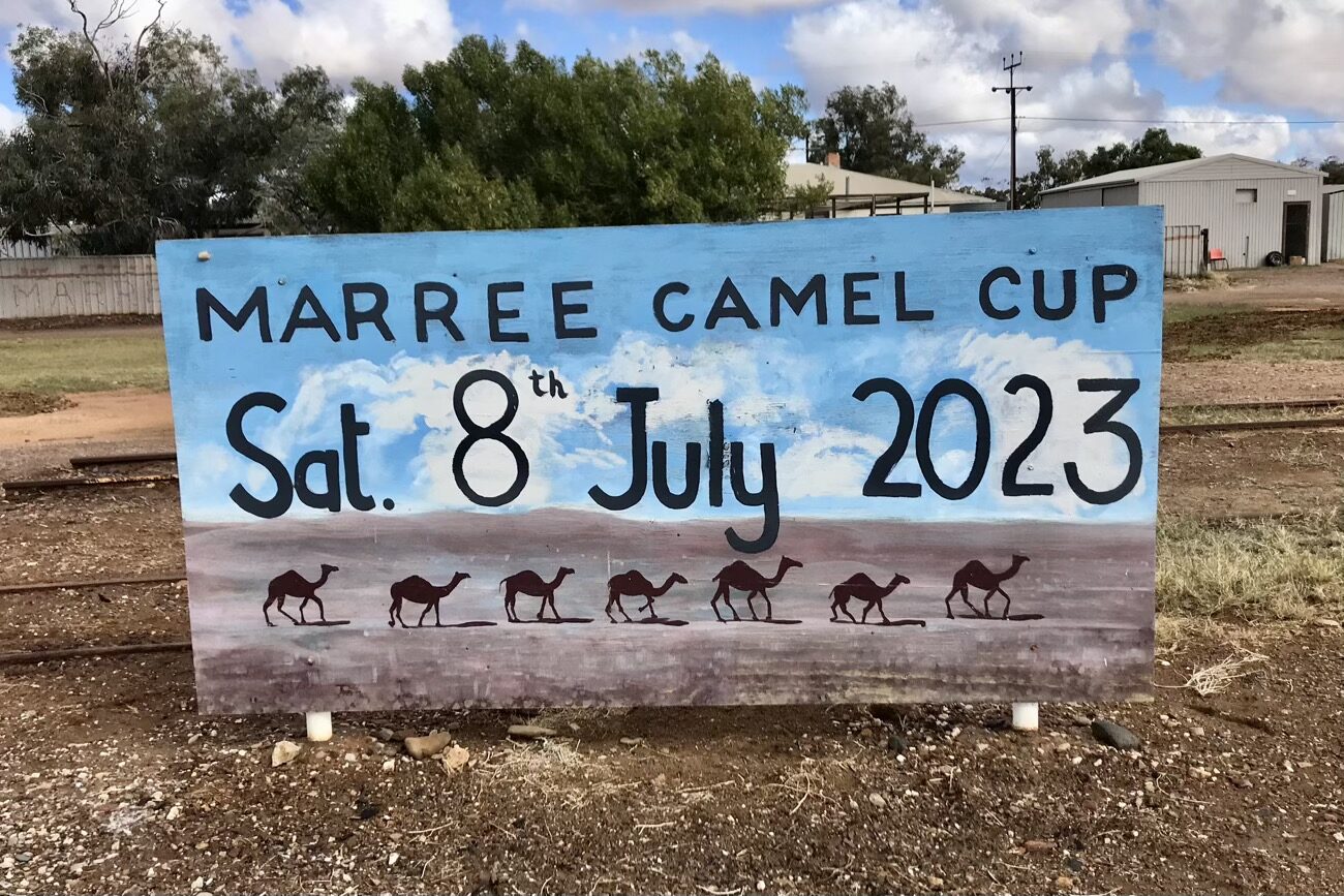 Sadly we will miss the annual Camel Cup – races and more