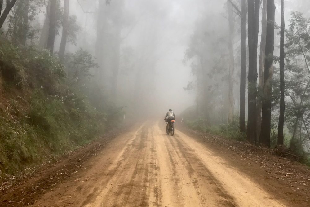 A misty climb out of Licola
