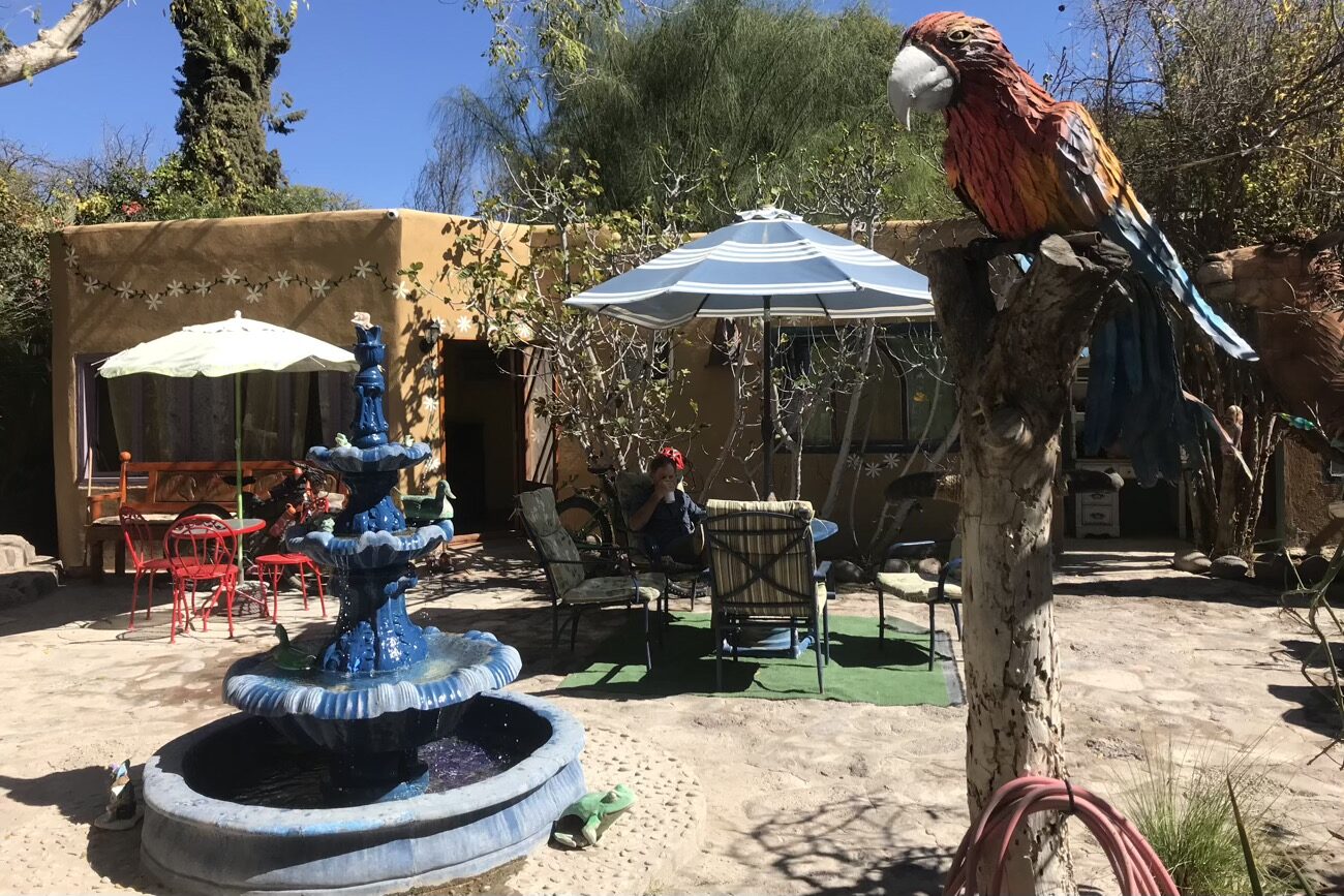 The magic garden – meet the parrot