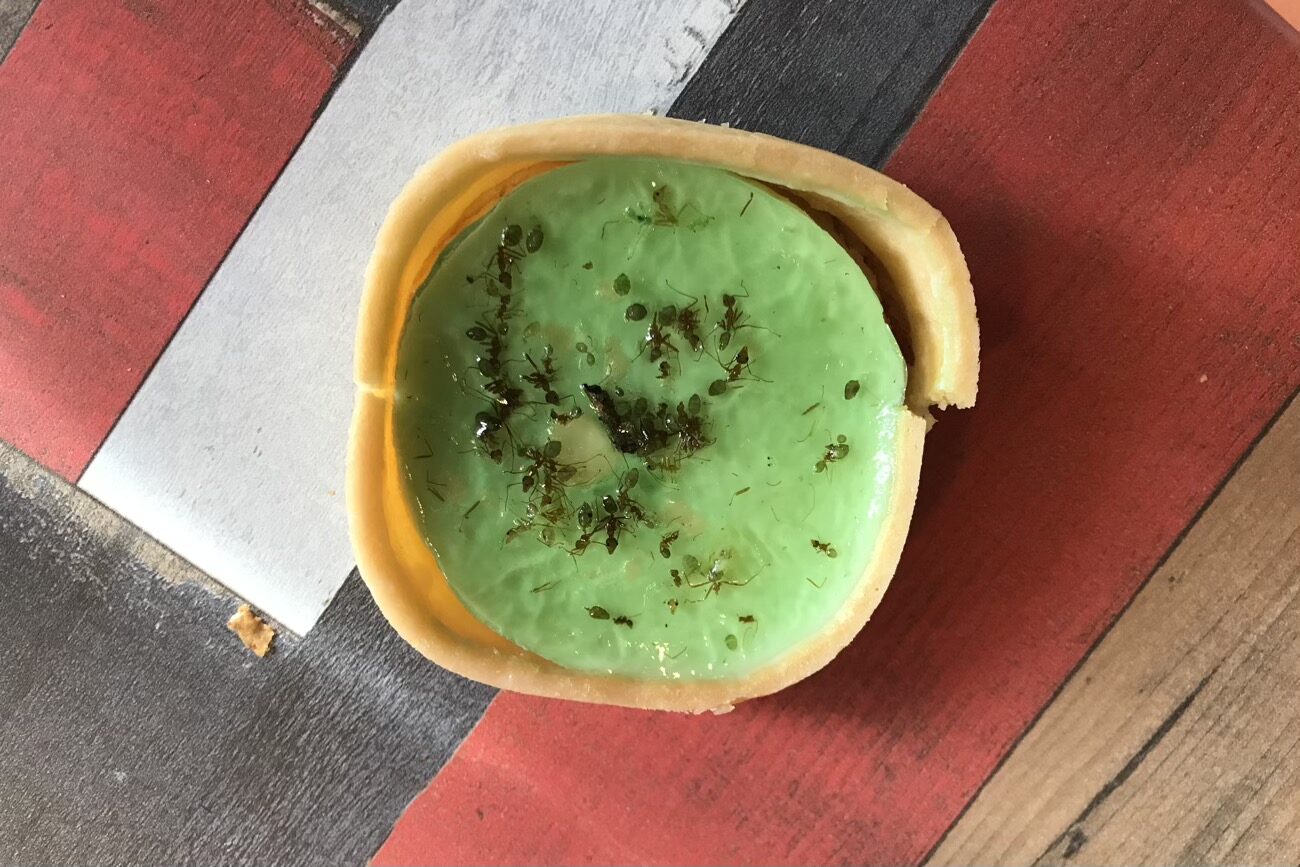All good walks need to start with green ant cheescake