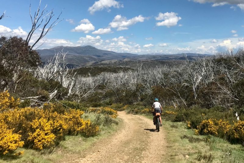 Starting in along the Round Mountain Trail in the Jagungal Wilderness area within the Kosciusko NP