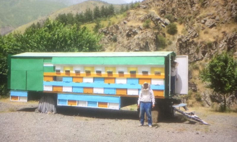We were intrigued by the mobile bee hive truck. Makes sense.
