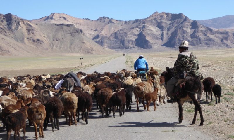 Traffic jam on the Pamir highway