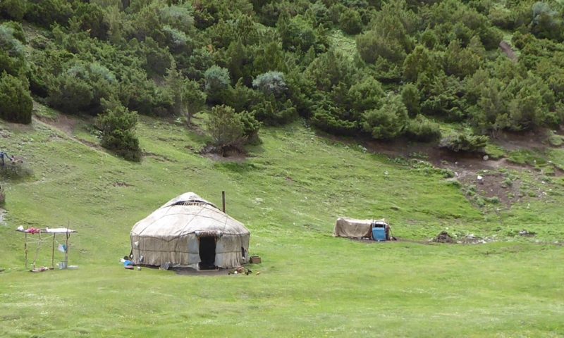 Finally grass and shrubs and many yurts dot the landscape