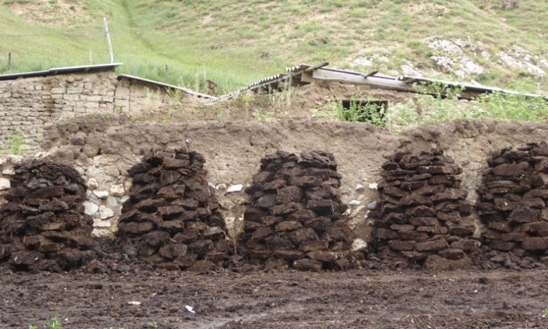 The Kyrgyzstan equivalent of a tidy woodstack