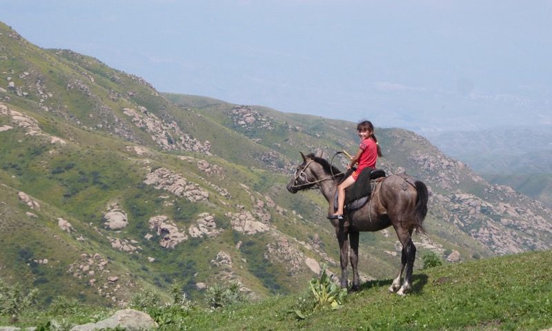 Little girl at home on big horse – can’t even reach the stirrups