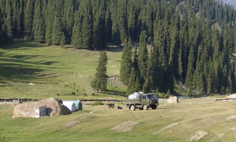 The old Russian truck with the milk tank on the back returning back down valley picking up the mornings fresh milk from all the summer yurt camps