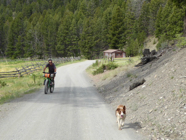Our canine companion for a few miles up the valley