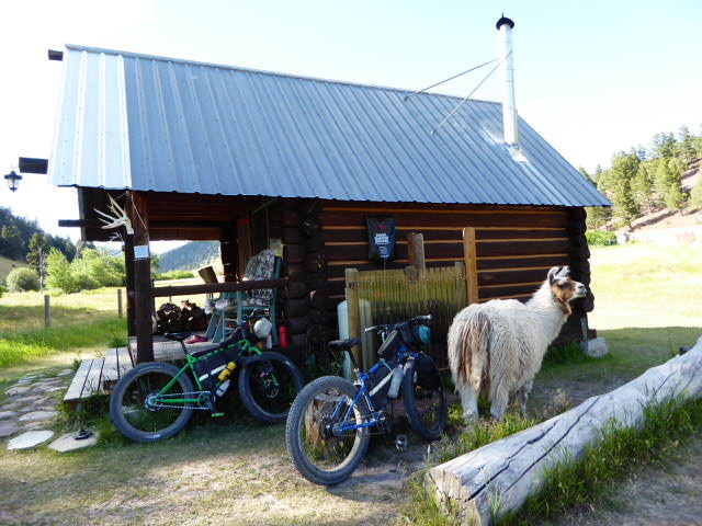 A sweet wee cabin for cyclists to enjoy