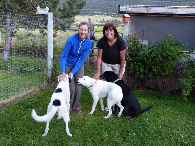 Our host Barbara and her three pooches