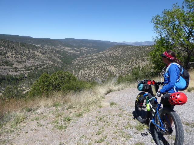 Views into the Gila National Forest