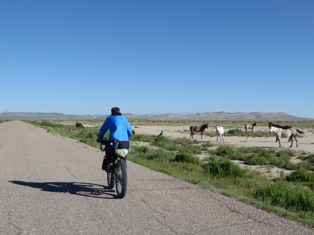 Some wild horses at the start of our journey across the Great Divide Basin
