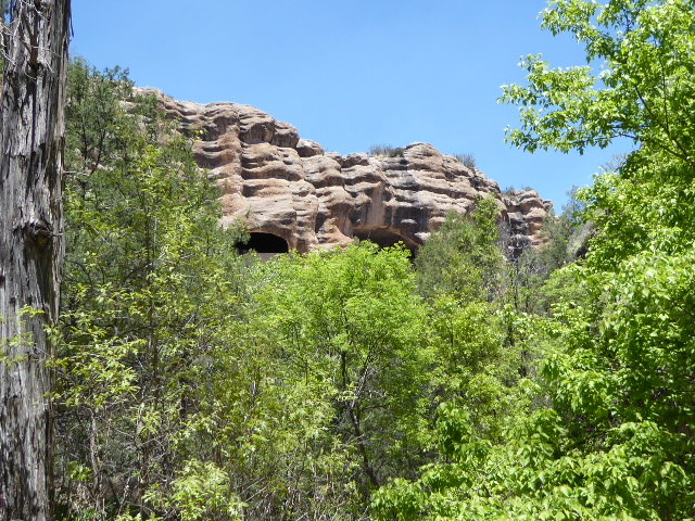 First views of the Gila Cave Dwellings