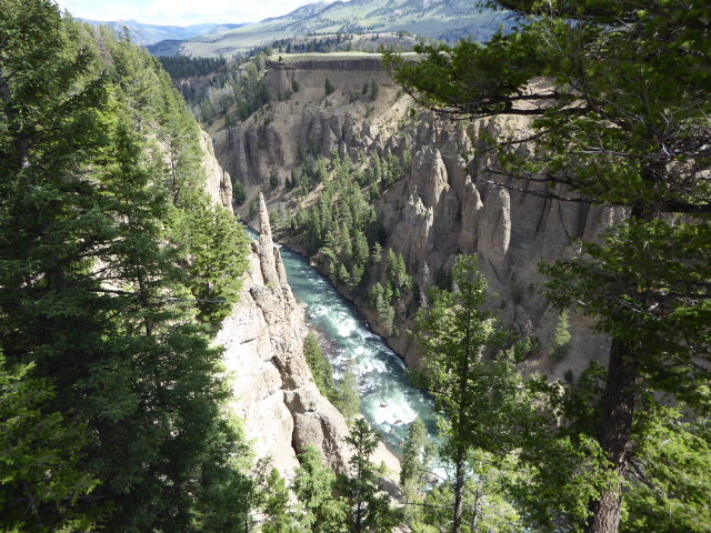 The Yellowstone canyon